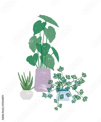 Potted homeplants flat vector illustration. Natural philodendron, plant with heart shaped leaves in ceramic pot. Natural home decorations isolated on white background. Horticulture design element. photo