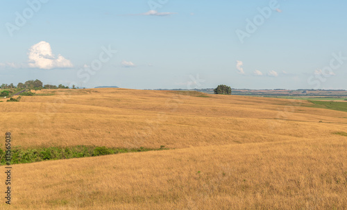 Farms in southern Brazil and the landscape of the Pampa Ga  cho