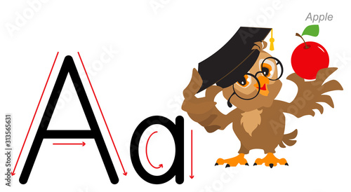 English alphabet picture letter for children. English language abc. Owl teacher holds an apple