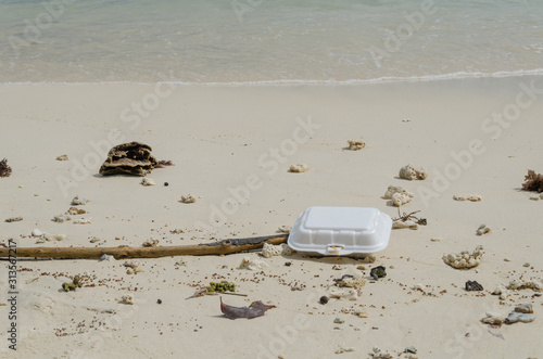 Styrofoam and Plastic Waste, Plastic Pollution- A Threat to All Nations.