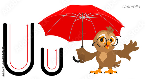 English alphabet picture letter for children. English language abc. Owl bird holds an umbrella