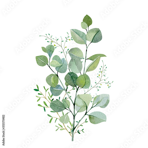 Watercolor hand painted bouquet eucalyptus and green plants. Frolar branches and leaves isolated on white background.  Greenery illustration for design  card  poster  banner and party card.