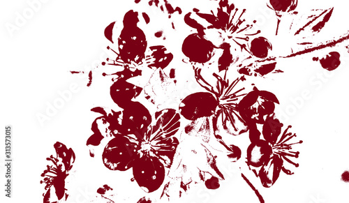 Abstract red blooming flowers on white background with flowers