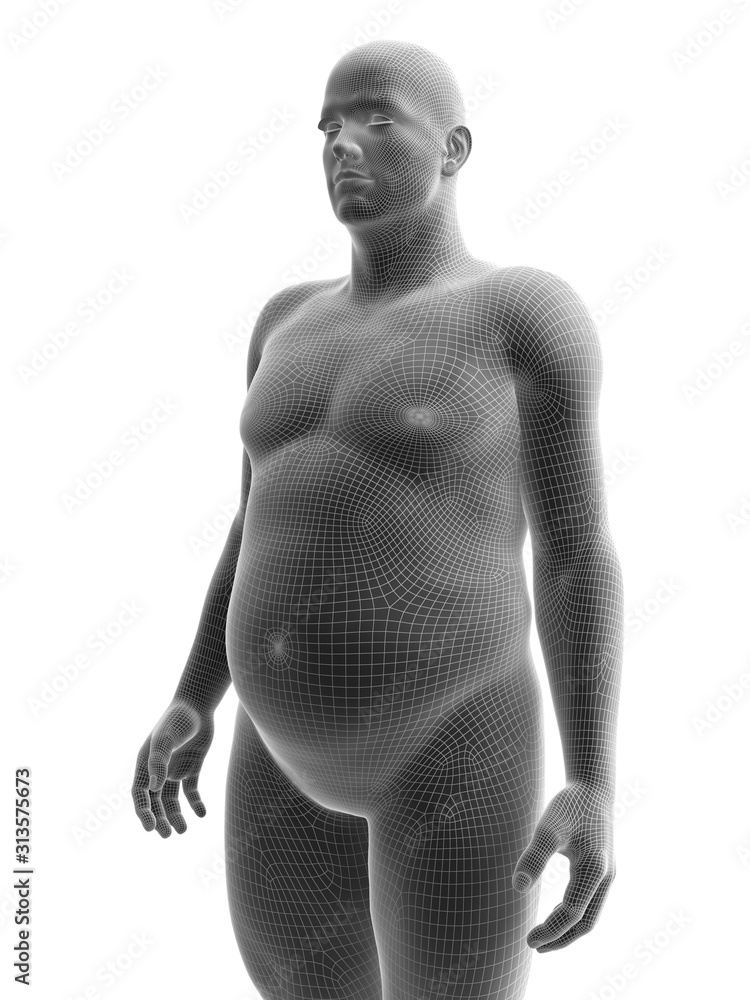 Fototapeta premium 3d rendered medically accurate illustration of an obese male