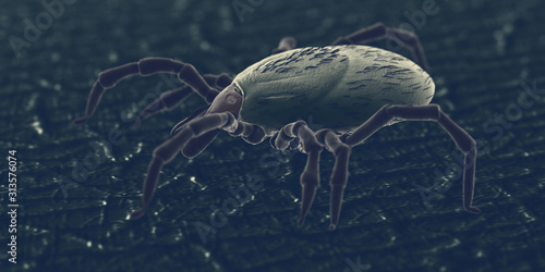 3d rendered illustration of a tick on human skin  sem style