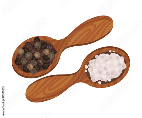 Pepper and Salt Spices in Wooden Spoons, Culinary Ingredient Vector Illustration