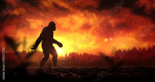 Bigfoot at sunset photo