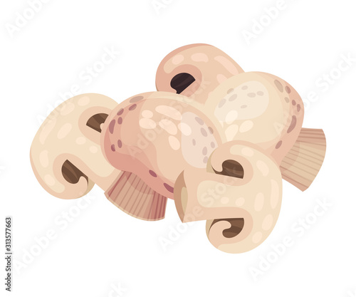 Mushroom Champignon, Fresh Organic Product, Culinary Ingredient Vector Illustration