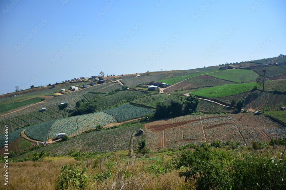 Naklejka premium Summer mountain view in Thailand,High view beautiful nature landscape of the mountain sky and forest in the morning on the hilltop viewpoint at Phu Thap Berk attractions of Phetchabun Province Thailan