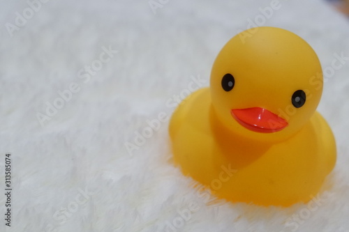 rubber duck toy on white background