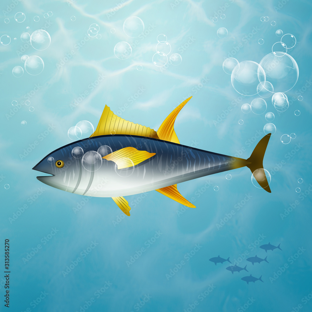 illustration of tuna illustration of tuna