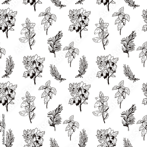 Herbs hand drawn  line pattern.  Vector floral illustration isolated on white background