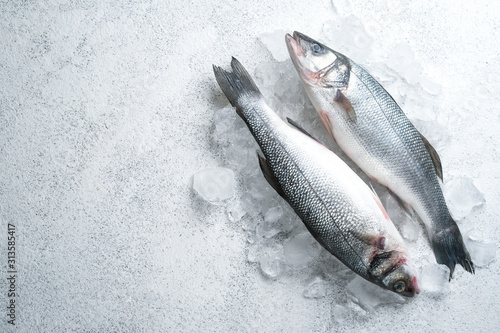 Fresh seabass fish on ice on light stone background, top view with copy space