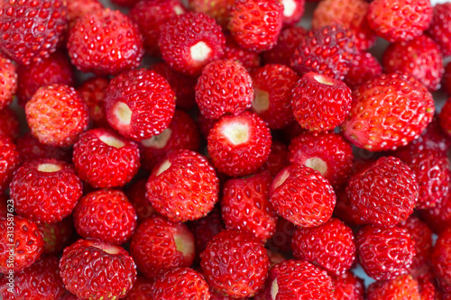 bright ripe wild strawberries isolated - many small berries-close-up macro