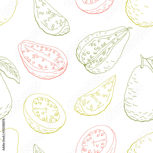 Guava fruit graphic color seamless pattern sketch background illustration vector