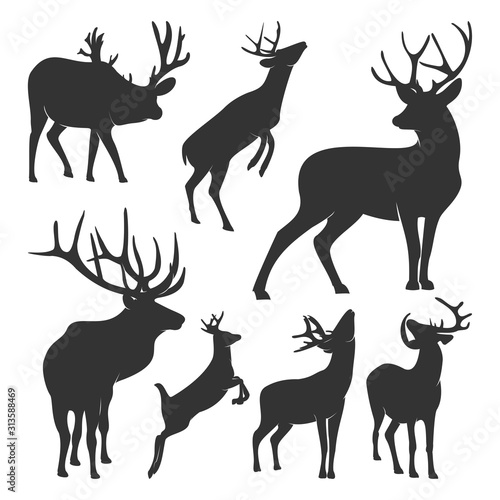 Collection of silhouette Deers. Vector logo. Wildlife. Wild Deer. Vector illustration.