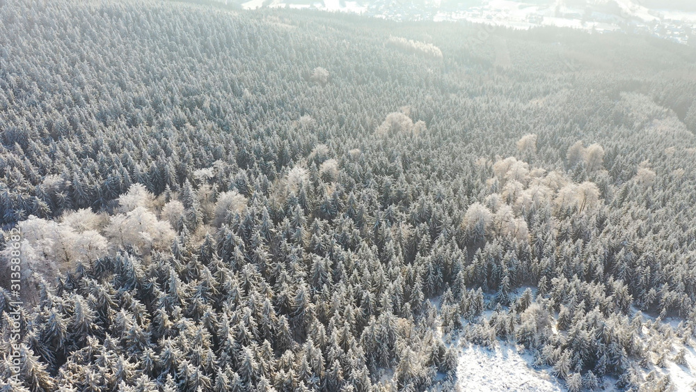 Aerial view of white spruce trees covered in fresh snow on sunny winter day in mountain, Liberec, Czech Republic Aerial view of white spruce trees covered in fresh snow on sunny winter day in mountain, Liberec, Czech Republic