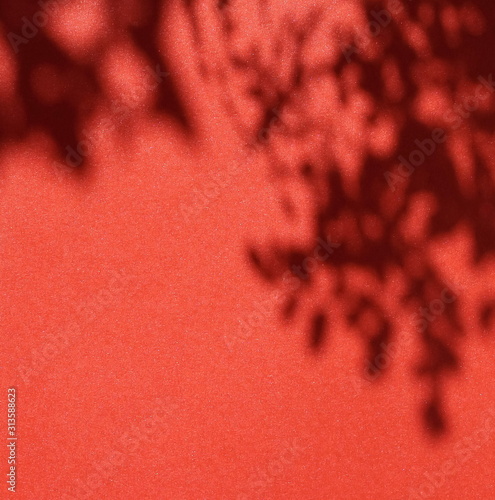soft floral shadows on dark red background.  top view. copy space