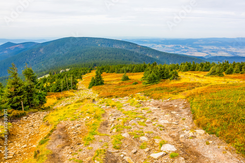Fototapeta Naklejka Na Ścianę i Meble -  View from the trail to the Śnieżnik Mountain, Poland