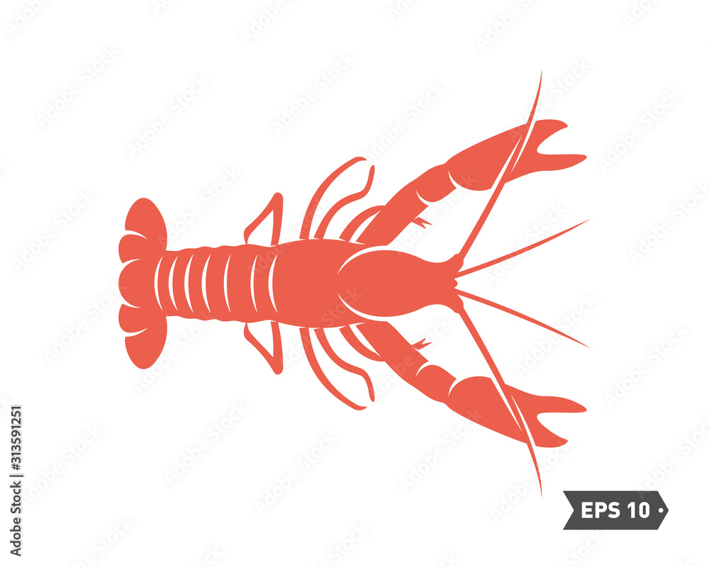 Shrimp logo design Vector. Isolated shrimp on white background. Prawns. Vector illustration. Shrimp logo design Vector. Isolated shrimp on white background. Prawns. Vector illustration.