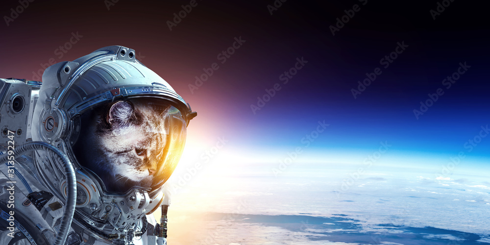 First trip to space. Mixed media First trip to space. Mixed media