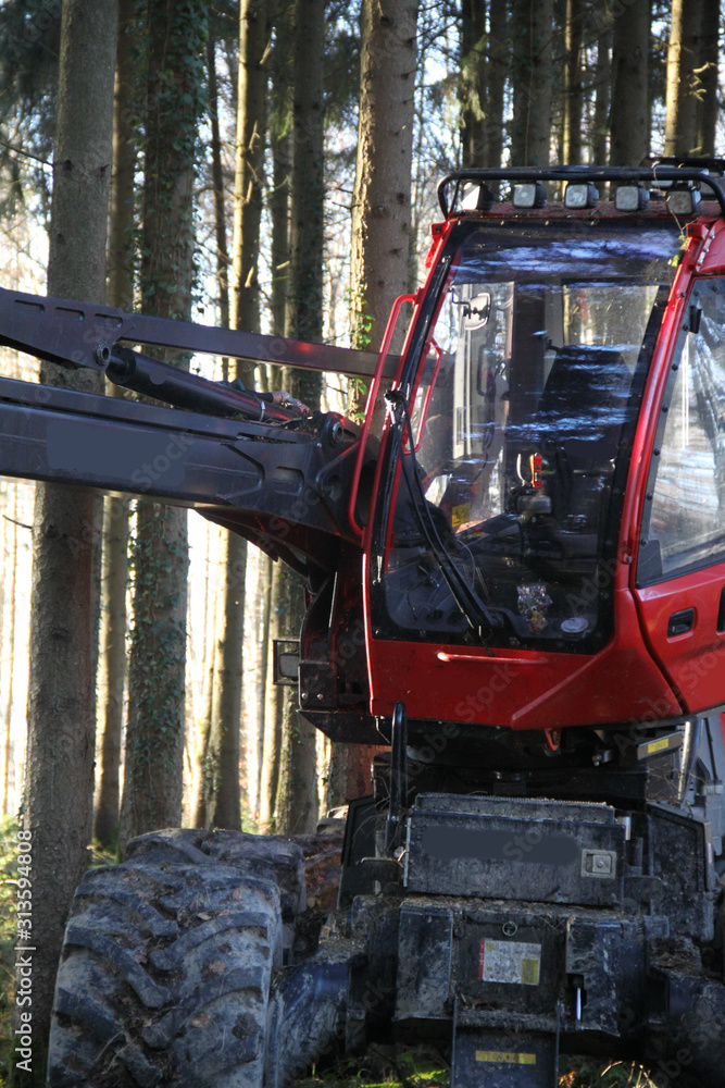 Abatteuse dans une forêt de sapins Abatteuse dans une forêt de sapins