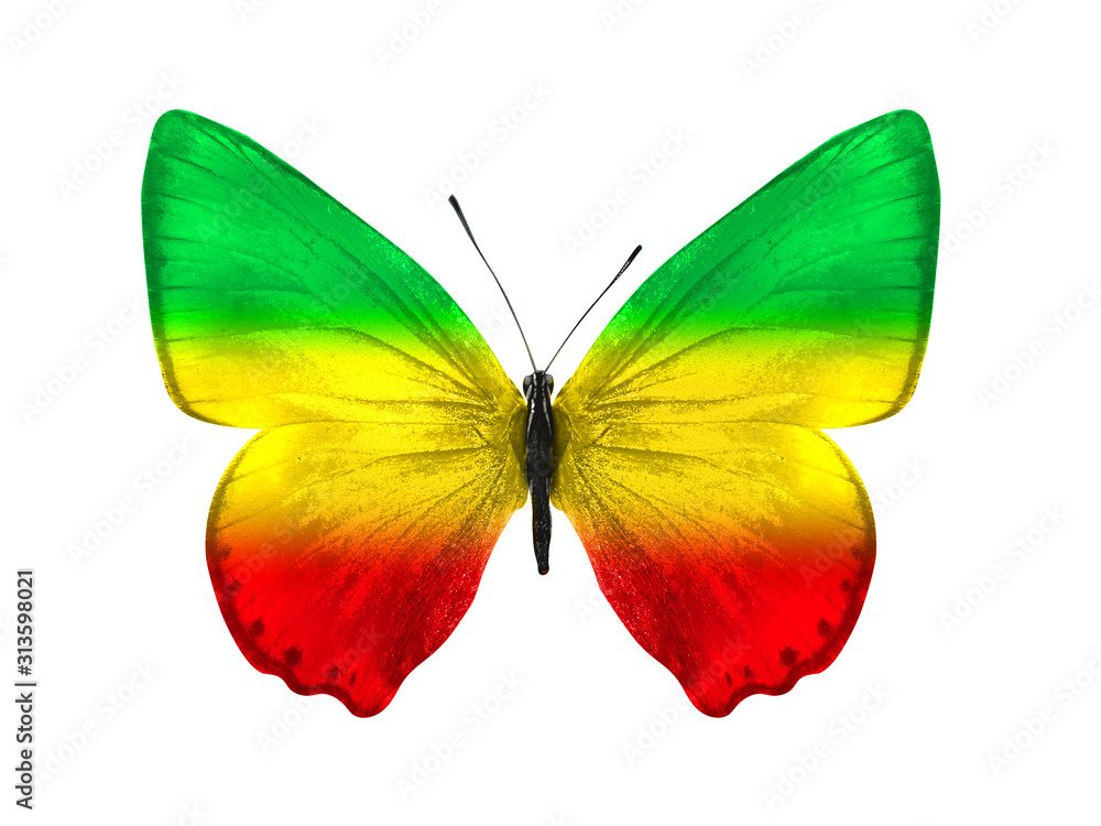 butterfly isolated on a white background. with wings of yellow, green ...