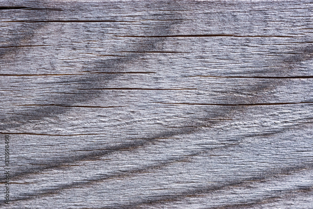Naklejka premium Fine old dried board with amazing texture and natural color