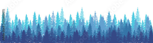 Pines Forest Panorama view. Spruce nature landscape. Forest background. Set of Pine, Spruce and Christmas Tree on White background. Silhouette forest background. Vector