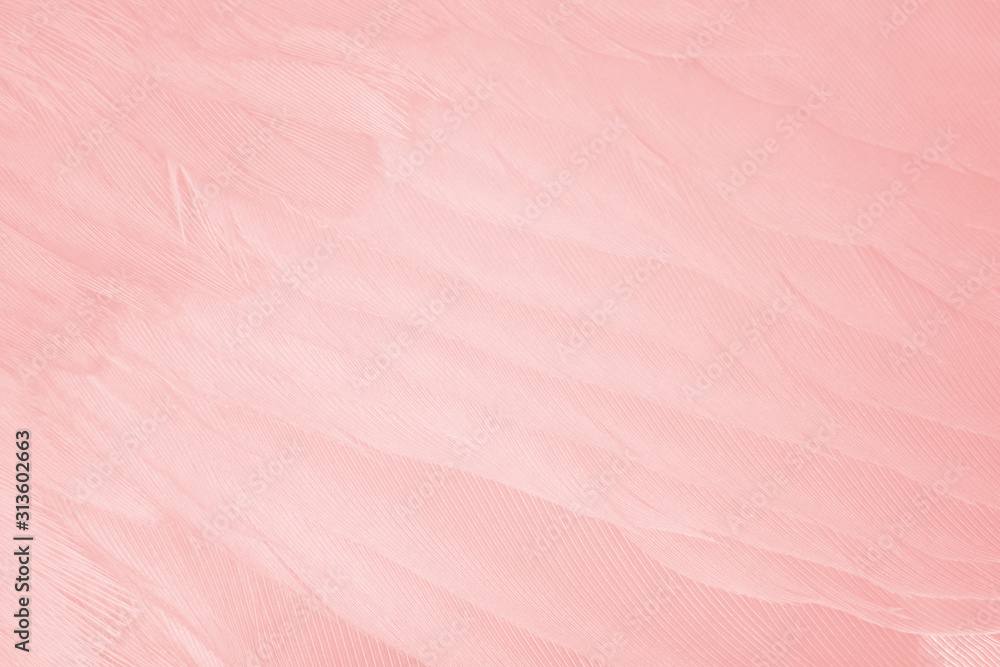 Beautiful line soft pink feather pattern texture background