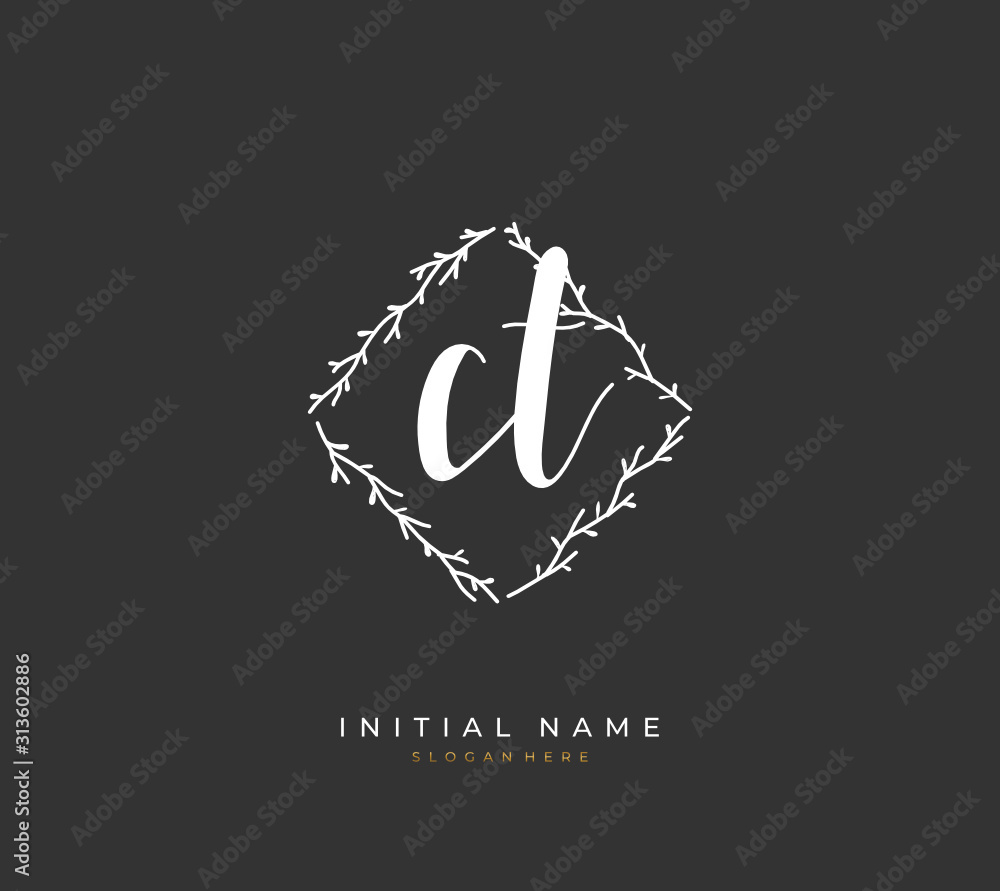 Handwritten initial letter C T CT for identity and logo. Vector logo template with handwriting and signature style. Handwritten initial letter C T CT for identity and logo. Vector logo template with handwriting and signature style.