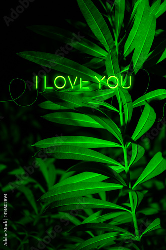 Valentine card with neon text. Valentines day  love  wedding  relationship  romance concept. Colorful background. Tropical design Colorful decoration. Vertical stories stock photo