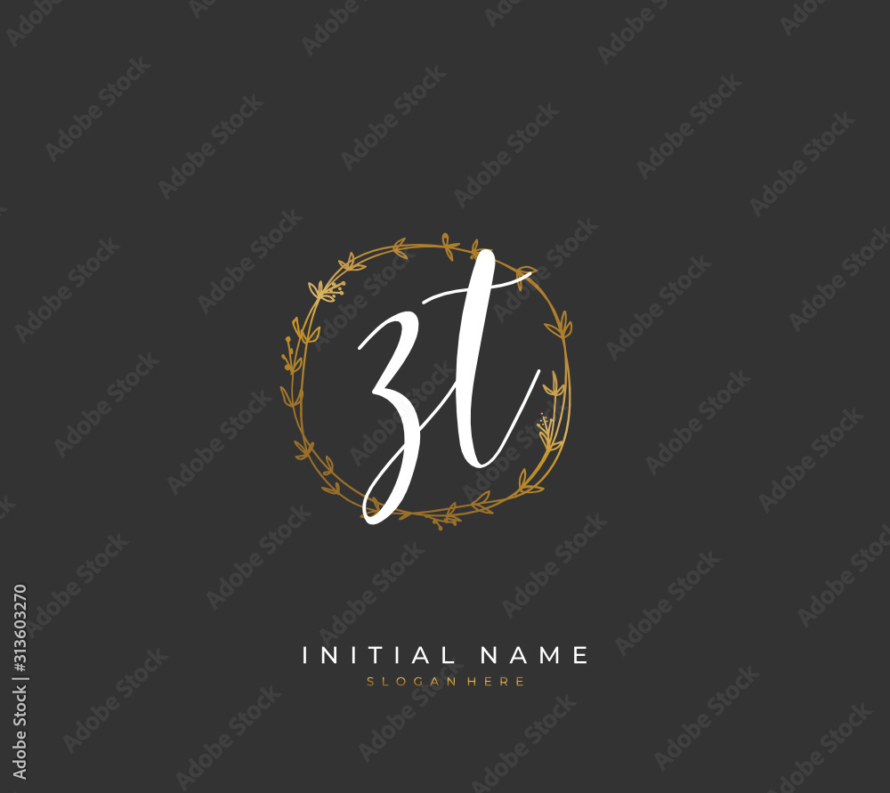 Handwritten initial letter Z T ZT for identity and logo. Vector logo template with handwriting and signature style. Handwritten initial letter Z T ZT for identity and logo. Vector logo template with handwriting and signature style.