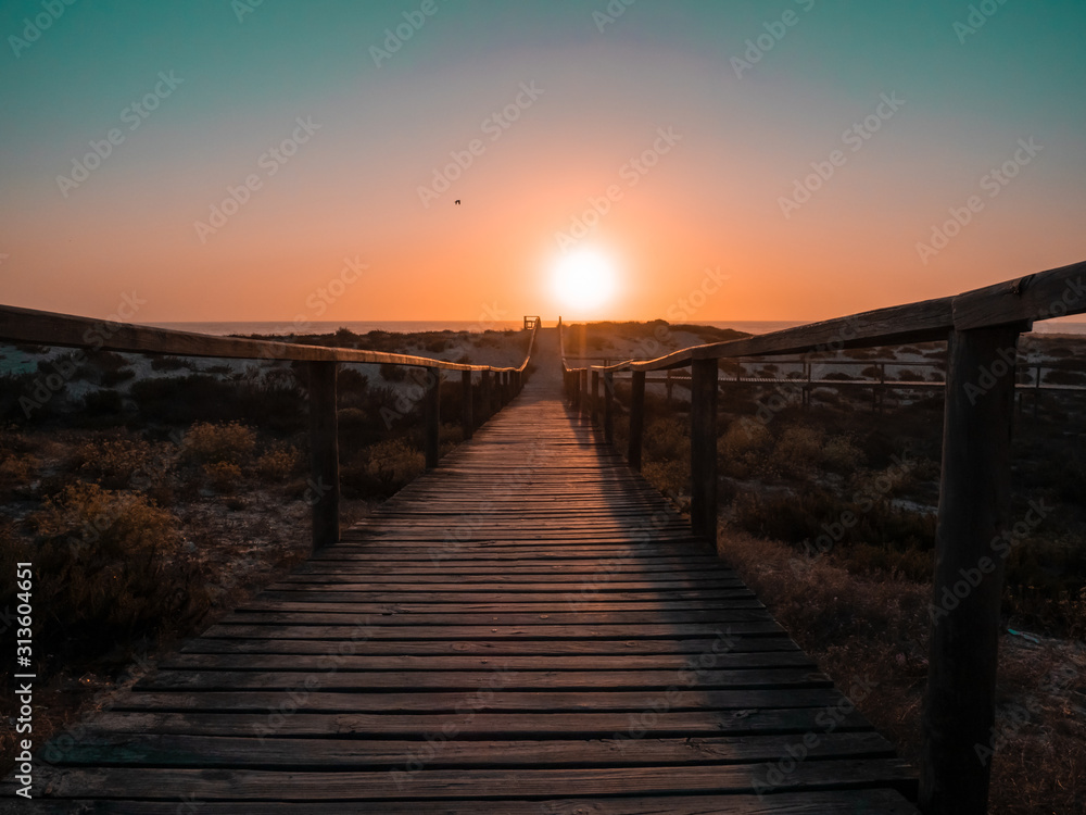 Wooden walkway towards sunset
