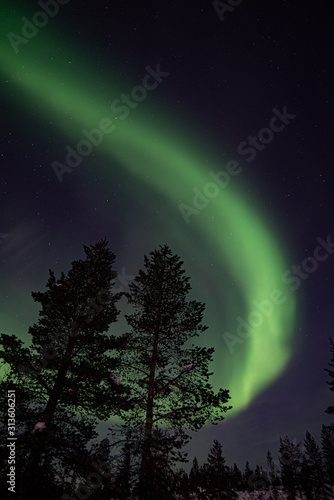 The Northern Lights in Lapland Finland January 2020 © robin