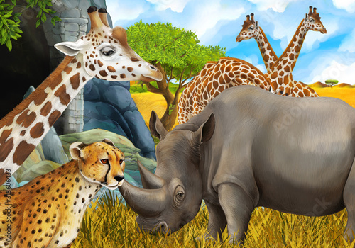 cartoon scene with giraffes rhinoceros rhino and cheetah on the meadow near some mountain safari illustration for children