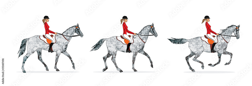 Horse gait, Three main gray horse gait: step, lynx, gallop.