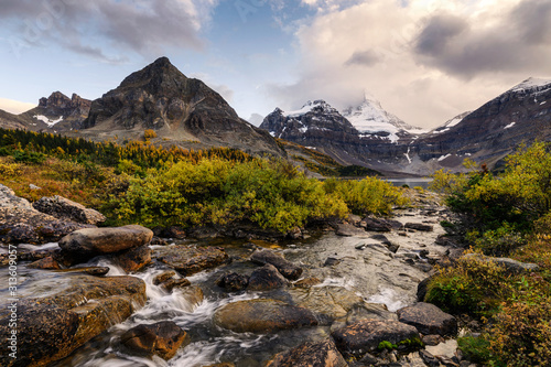 Mount Assiniboine with stream flowing in golden wilderness at provincial park