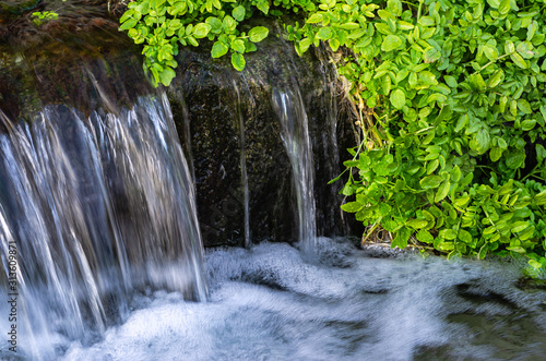 streaming water and grass