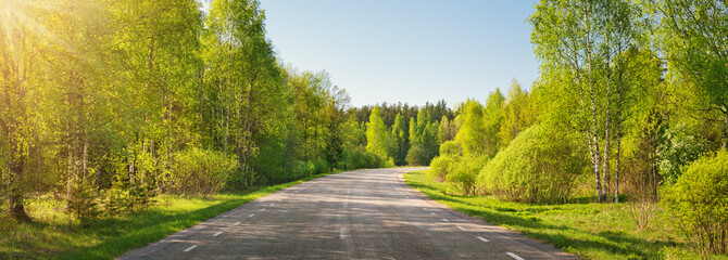 asphalt road panorama in countryside on sunny summer day