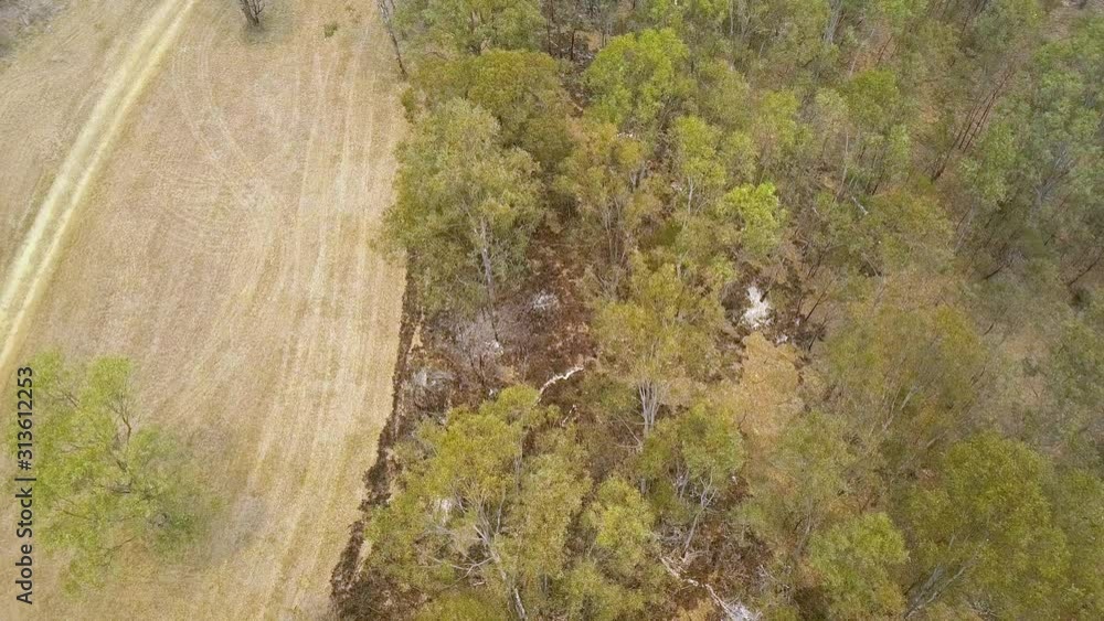 Aerial view of contained fire line on eucalyptus forest during bush fire in Warragamba Australia, drone bird's eye overview Aerial view of contained fire line on eucalyptus forest during bush fire in Warragamba Australia, drone bird's eye overview