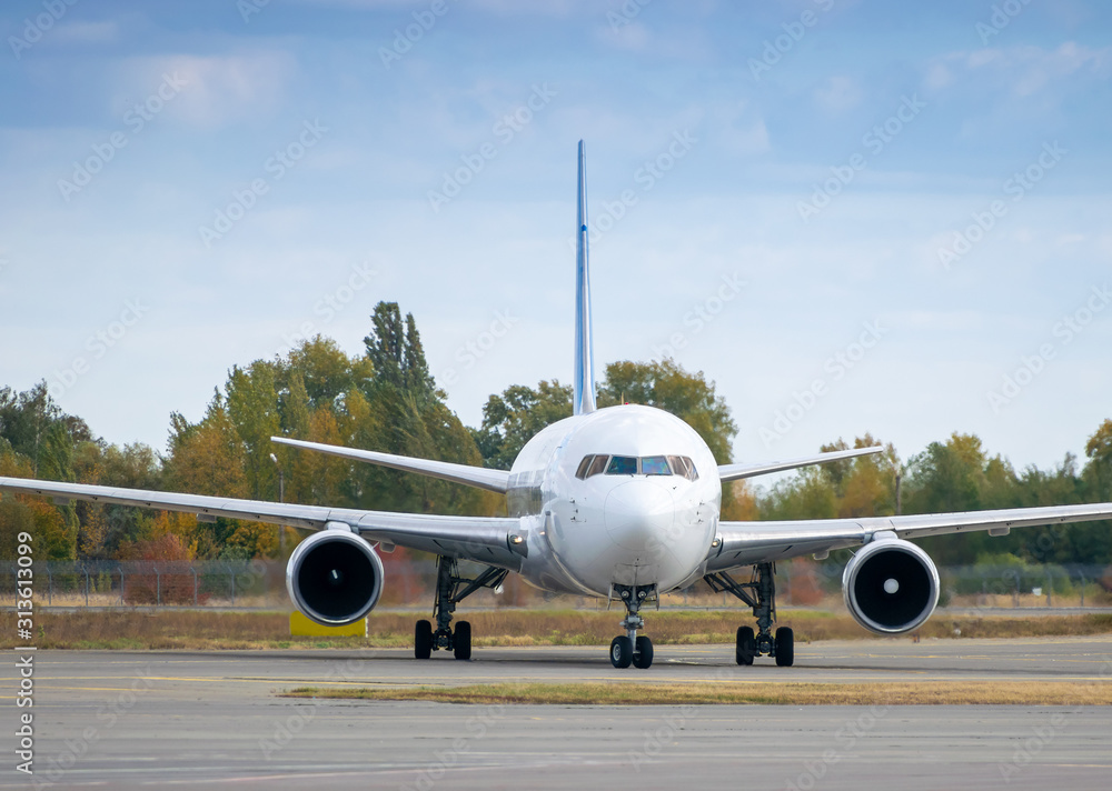 Naklejka premium Passenger plane front
