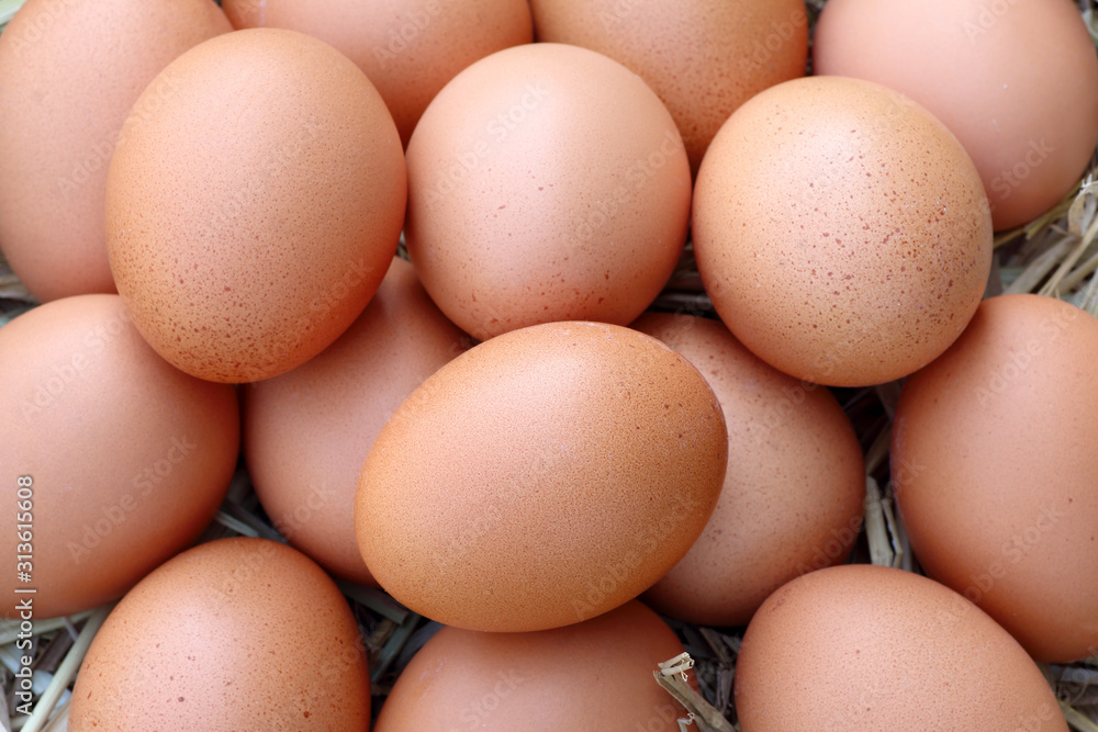 fresh brown chicken eggs from the farm fresh brown chicken eggs from the farm