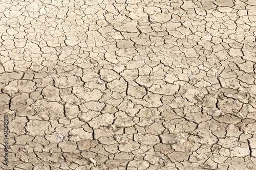 Texture of dehydrated ground surface with cracks