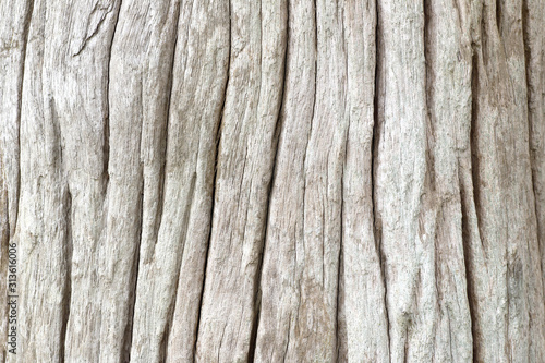 old wood texture with natural pattern background