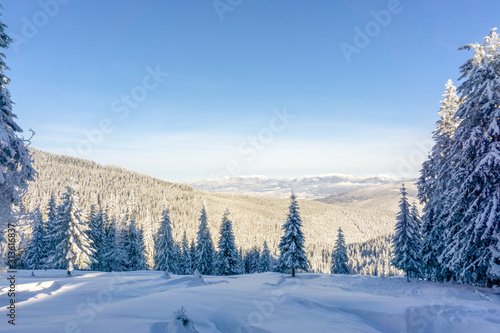Carpathian mountain. Majestic winter landscape. Christmas time. Ukraine, Europe