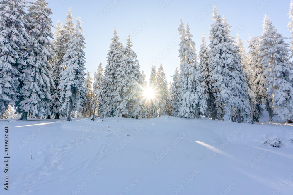 Carpathian mountain. Majestic winter landscape. Christmas time. Ukraine, Europe Carpathian mountain. Majestic winter landscape. Christmas time. Ukraine, Europe