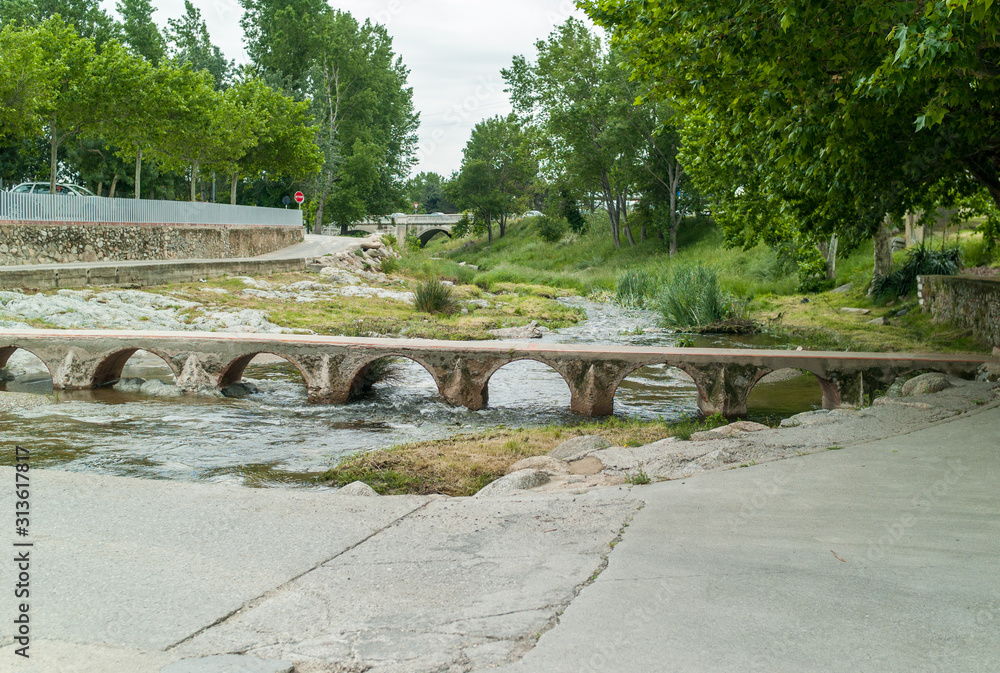 Fototapeta premium bridge in the park