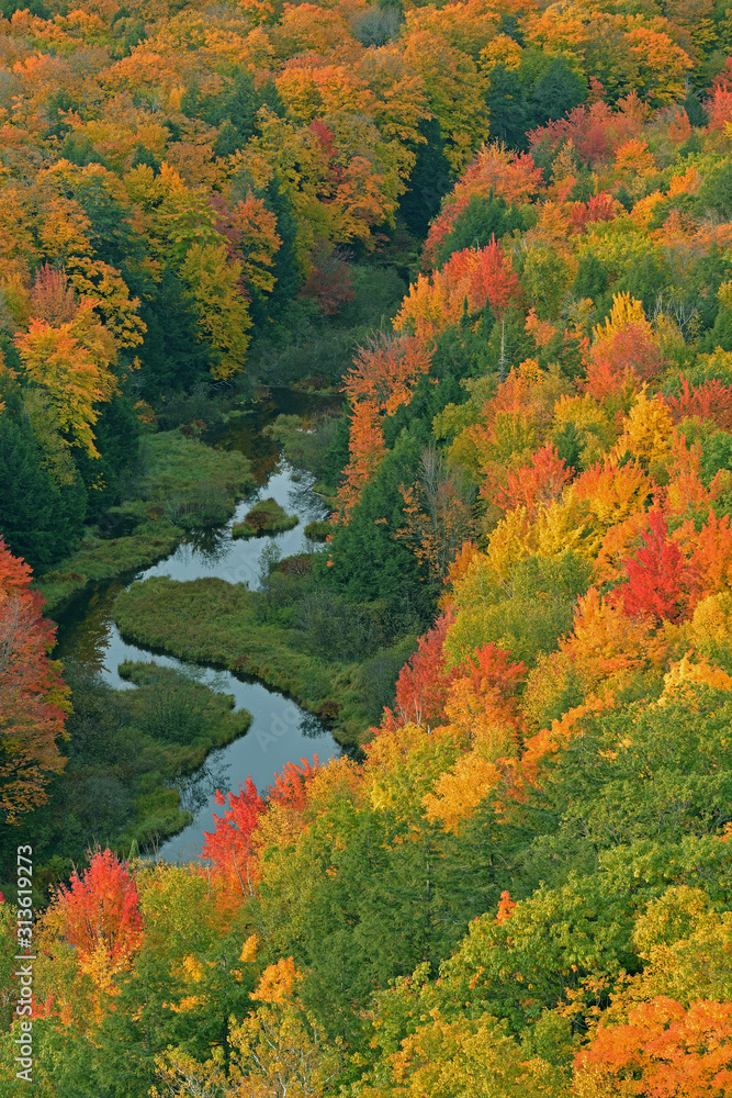 Aerial perspective of autumn forest and Carp River, Lake of the Clouds, Porcupine Mountains Wilderness State Park, Michigan's Upper Peninsula, USA