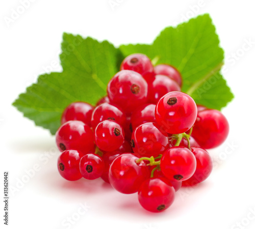 Red currants with green leaves.